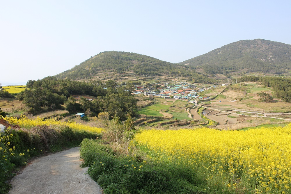 원본이미지(클릭)