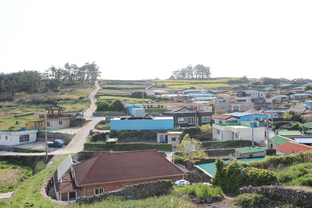 원본이미지(클릭)