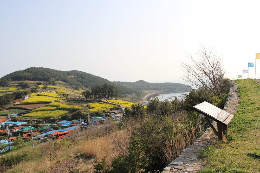 원본이미지(클릭)