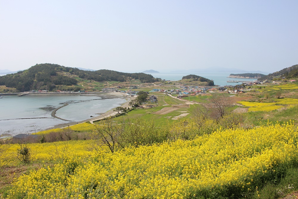 원본이미지(클릭)