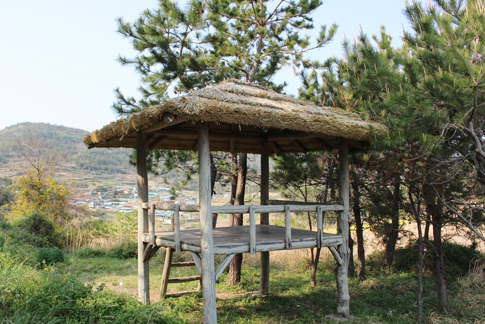 원본이미지(클릭)