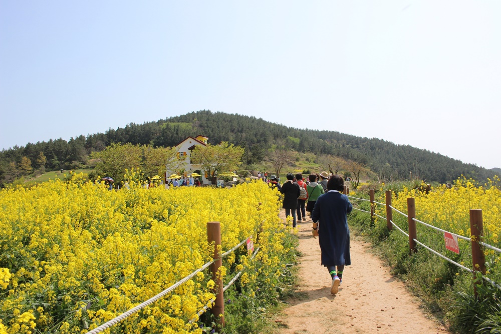 원본이미지(클릭)
