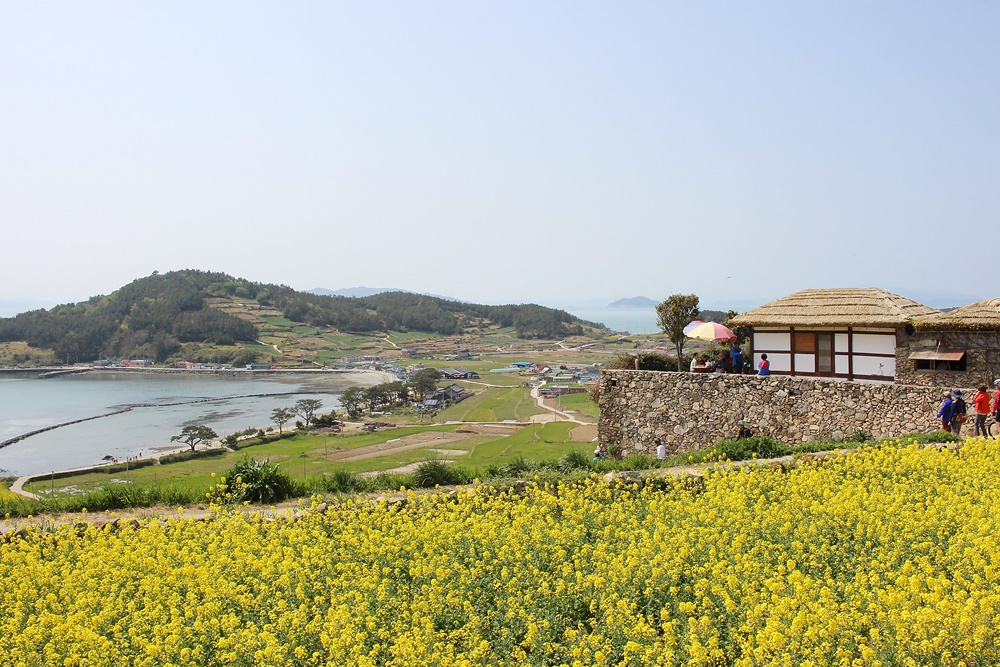 원본이미지(클릭)