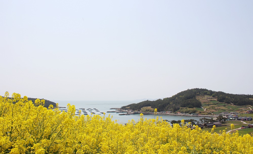 원본이미지(클릭)