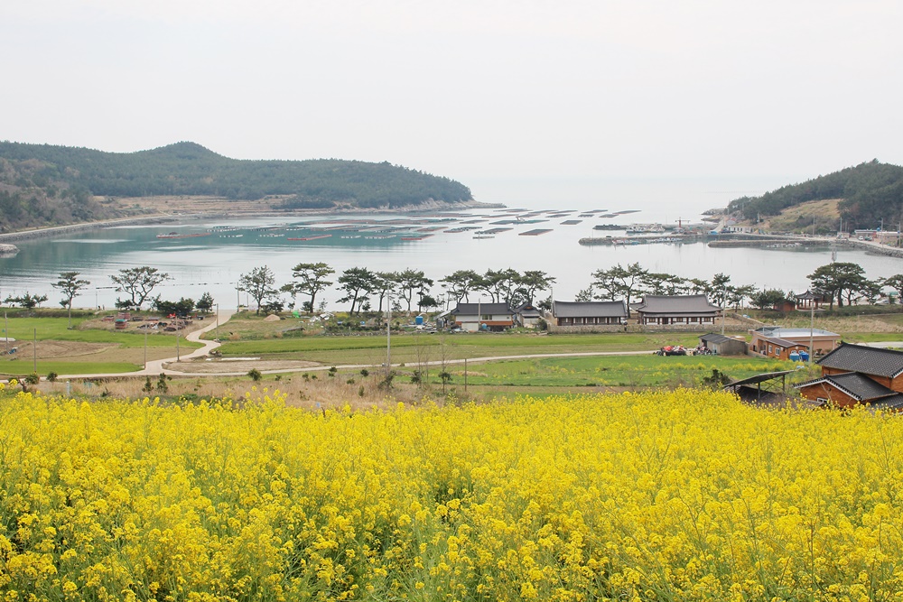 원본이미지(클릭)