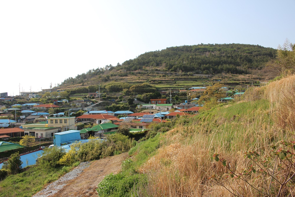 원본이미지(클릭)