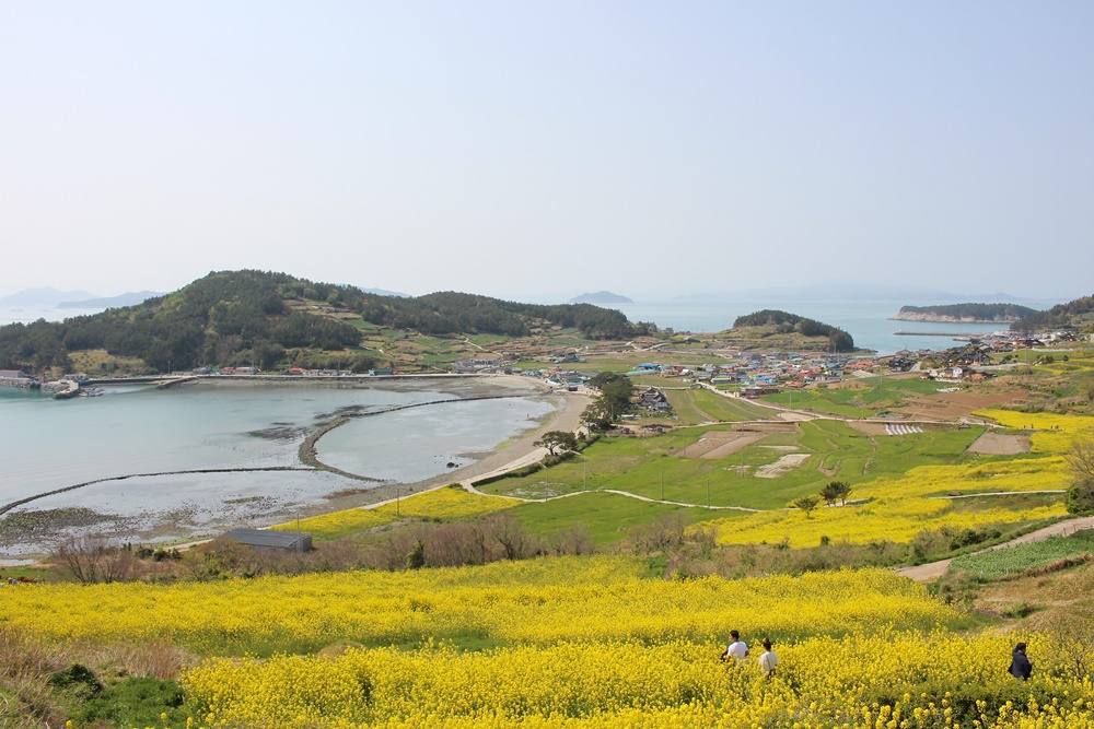 원본이미지(클릭)