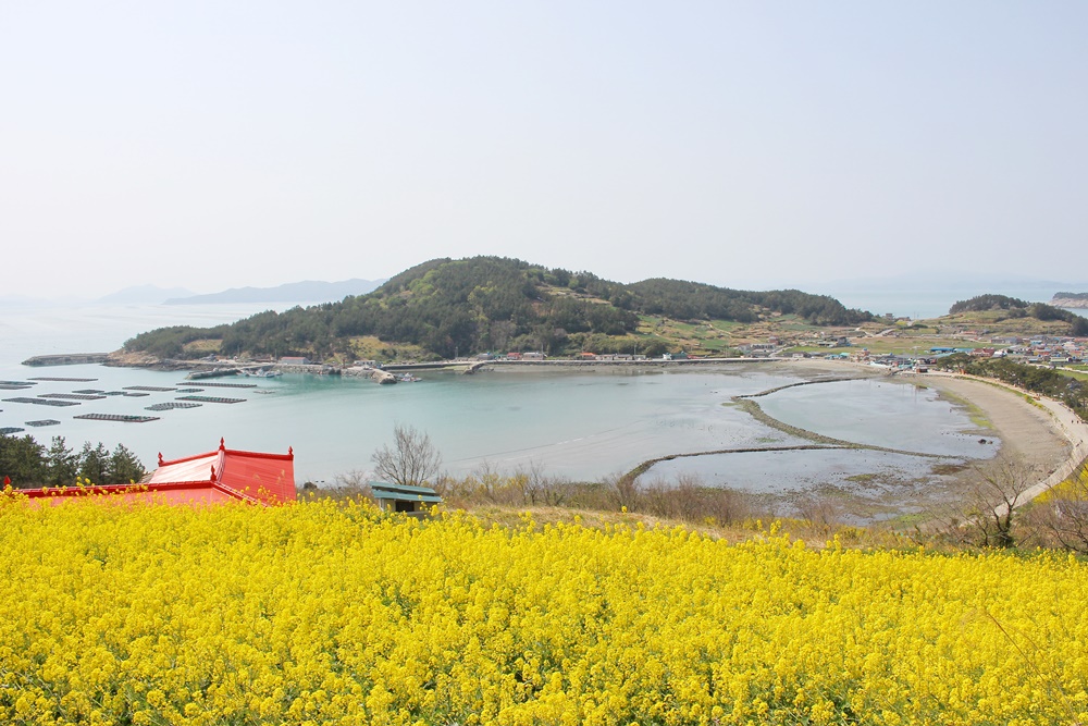 원본이미지(클릭)