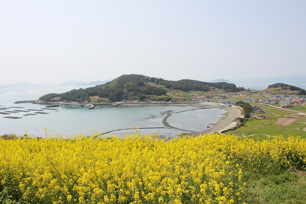 원본이미지(클릭)