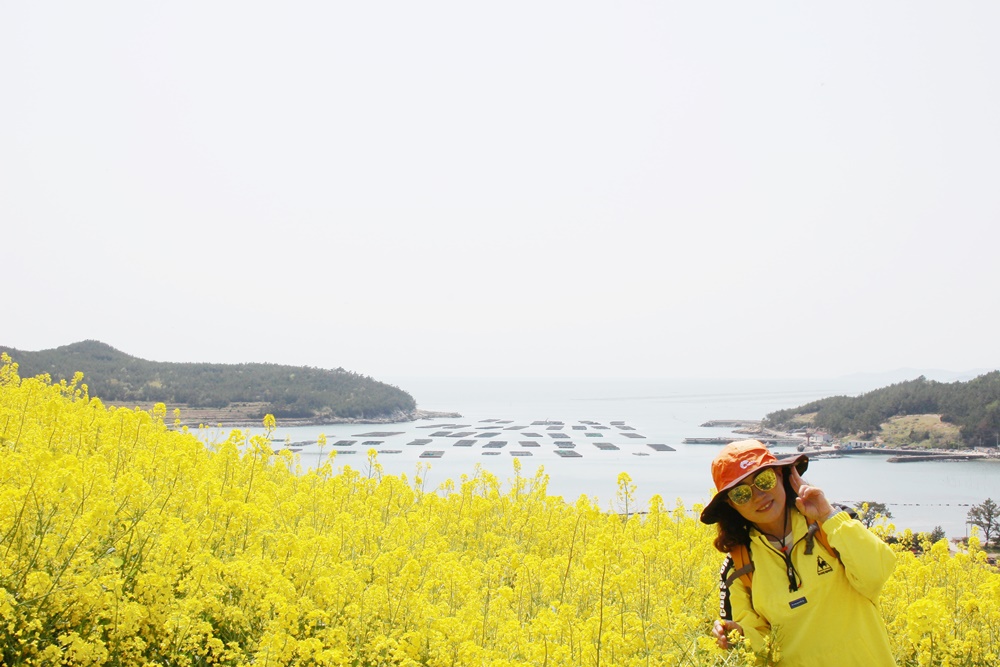 원본이미지(클릭)