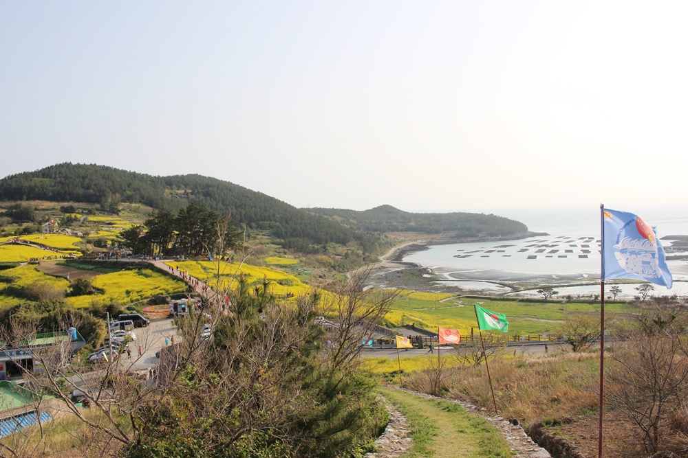 원본이미지(클릭)