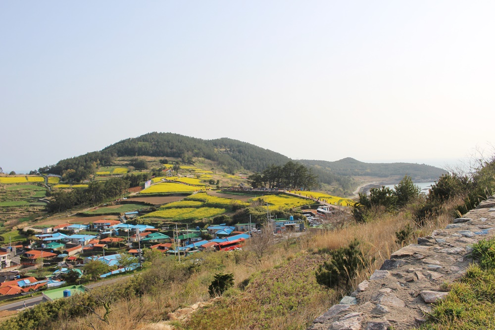원본이미지(클릭)