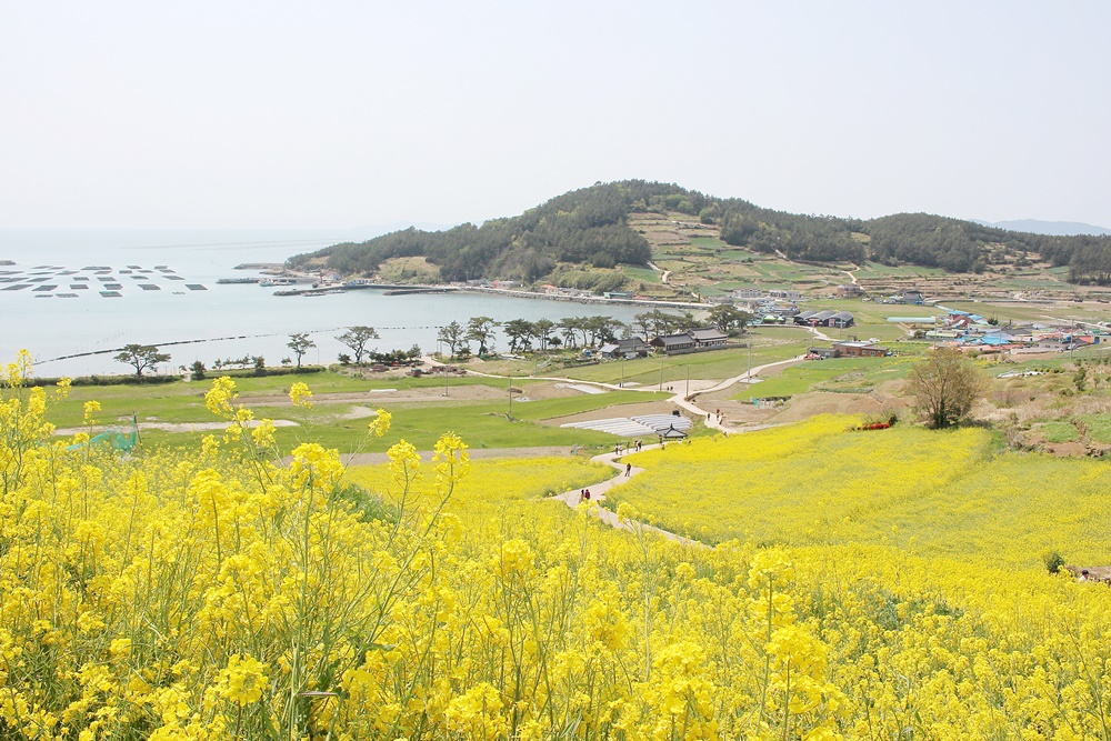 원본이미지(클릭)