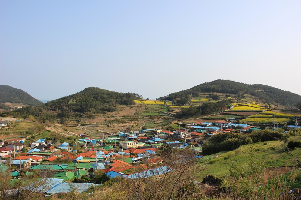 원본이미지(클릭)