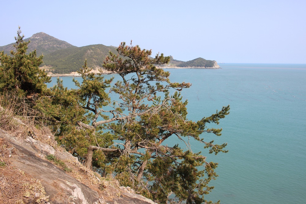 원본이미지(클릭)