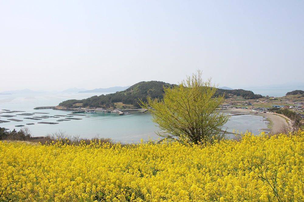 원본이미지(클릭)