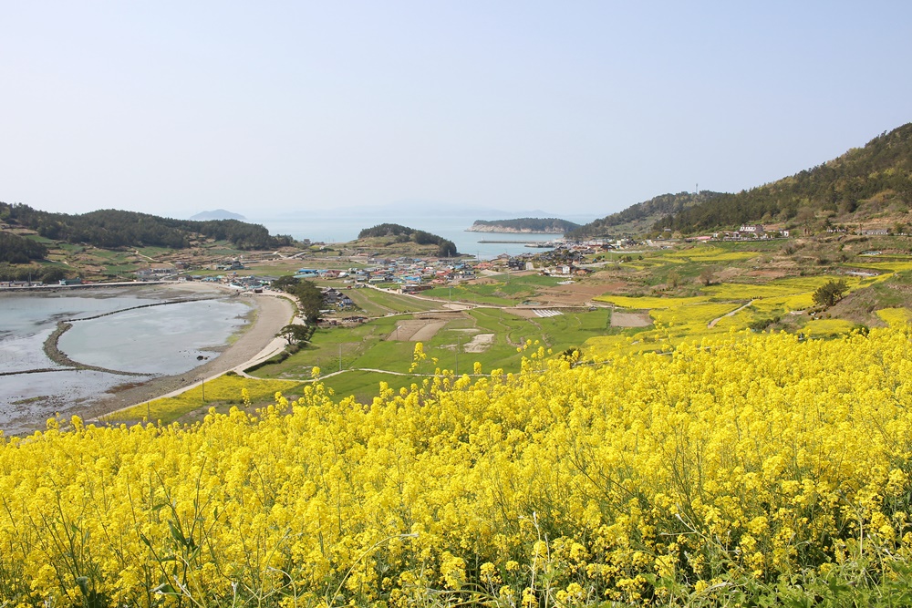 원본이미지(클릭)