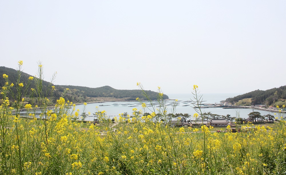 원본이미지(클릭)