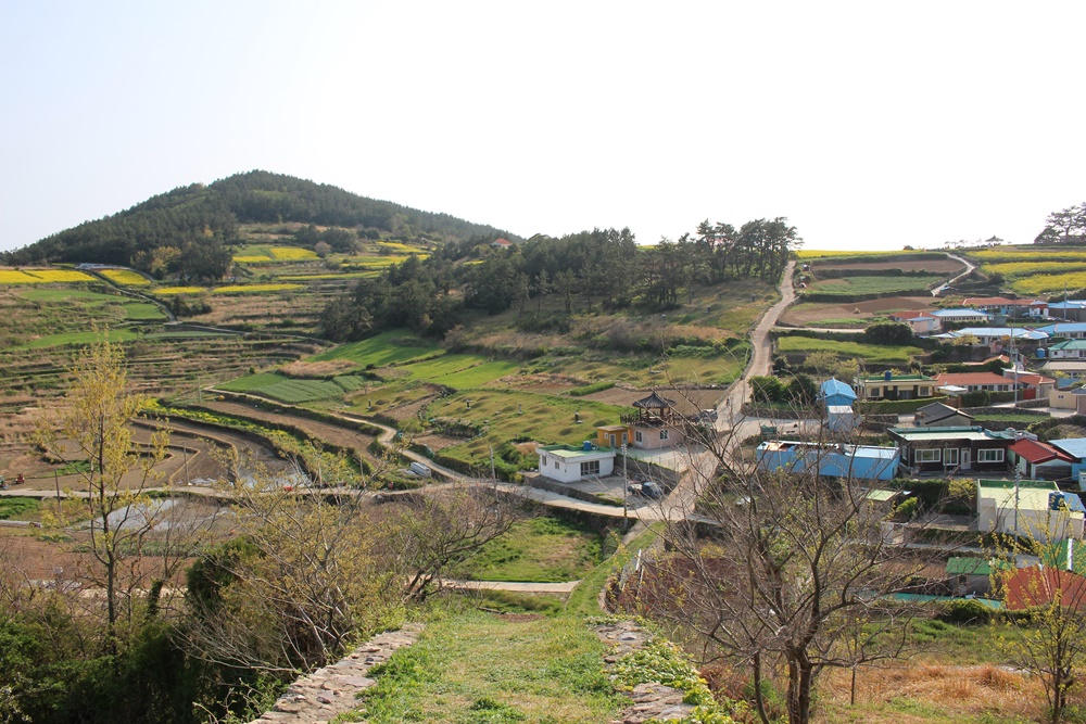 원본이미지(클릭)