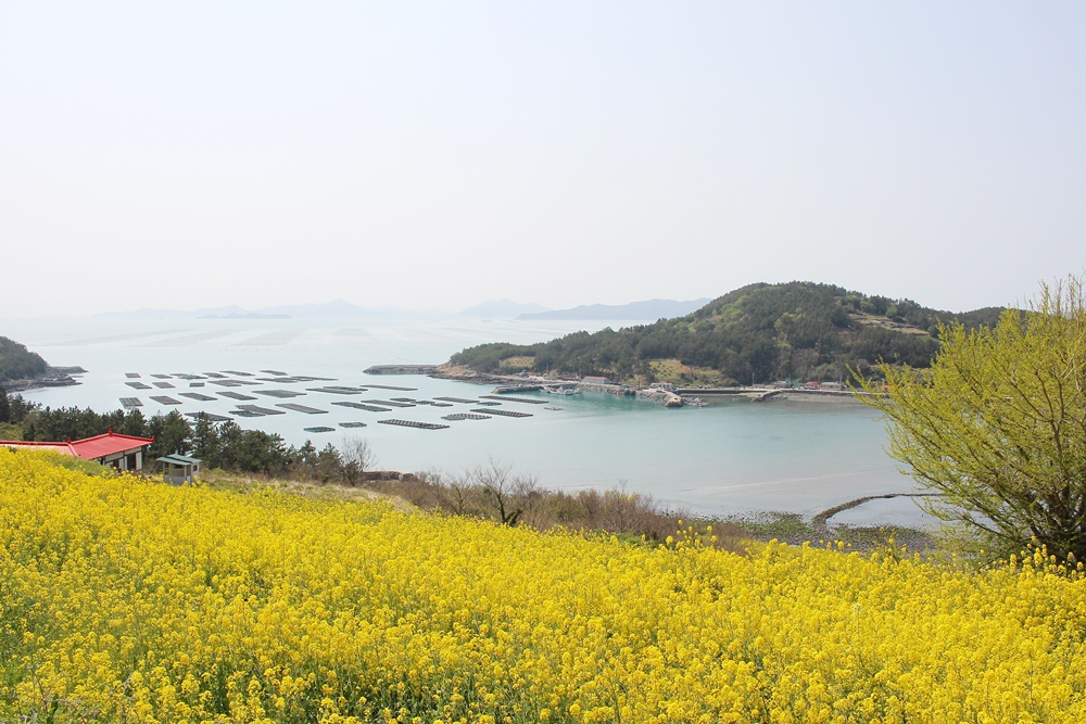 원본이미지(클릭)
