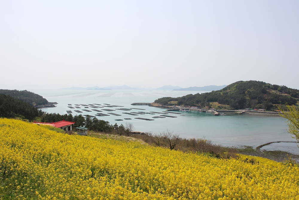 원본이미지(클릭)