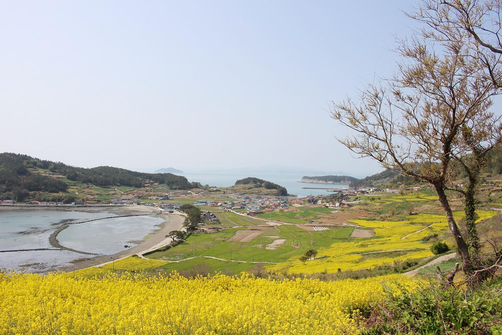 원본이미지(클릭)