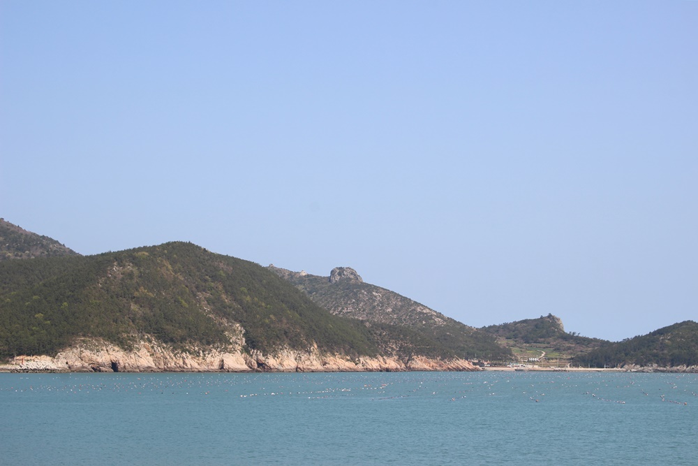 원본이미지(클릭)