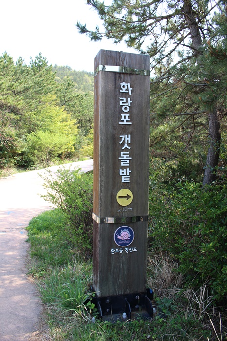 원본이미지(클릭)