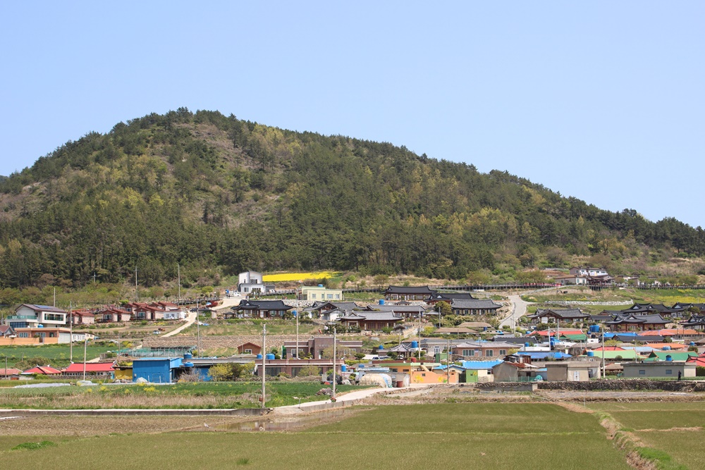 원본이미지(클릭)