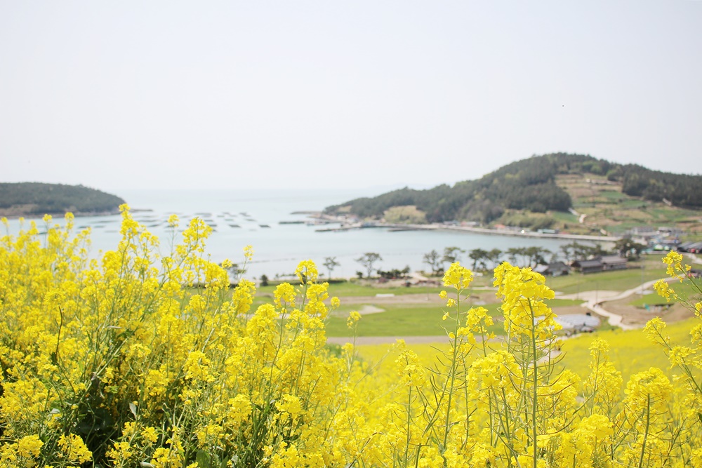 원본이미지(클릭)