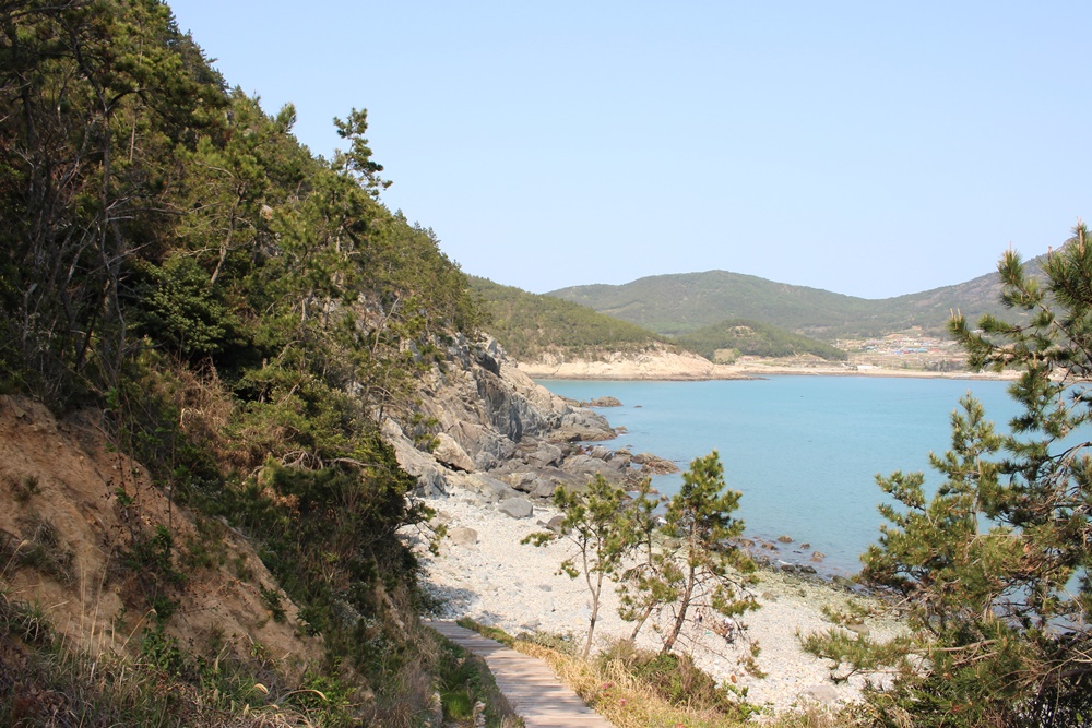 원본이미지(클릭)