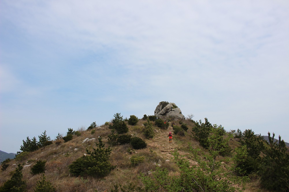 원본이미지(클릭)