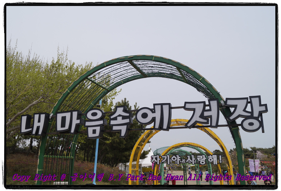 원본이미지(클릭)