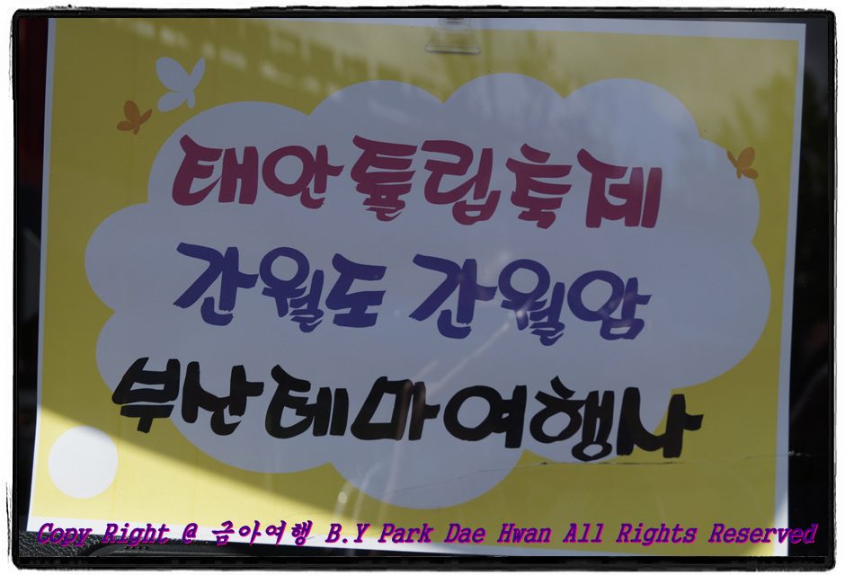 원본이미지(클릭)
