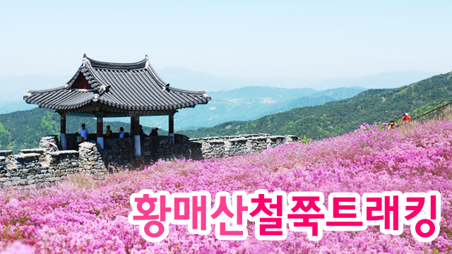 원본이미지(클릭)