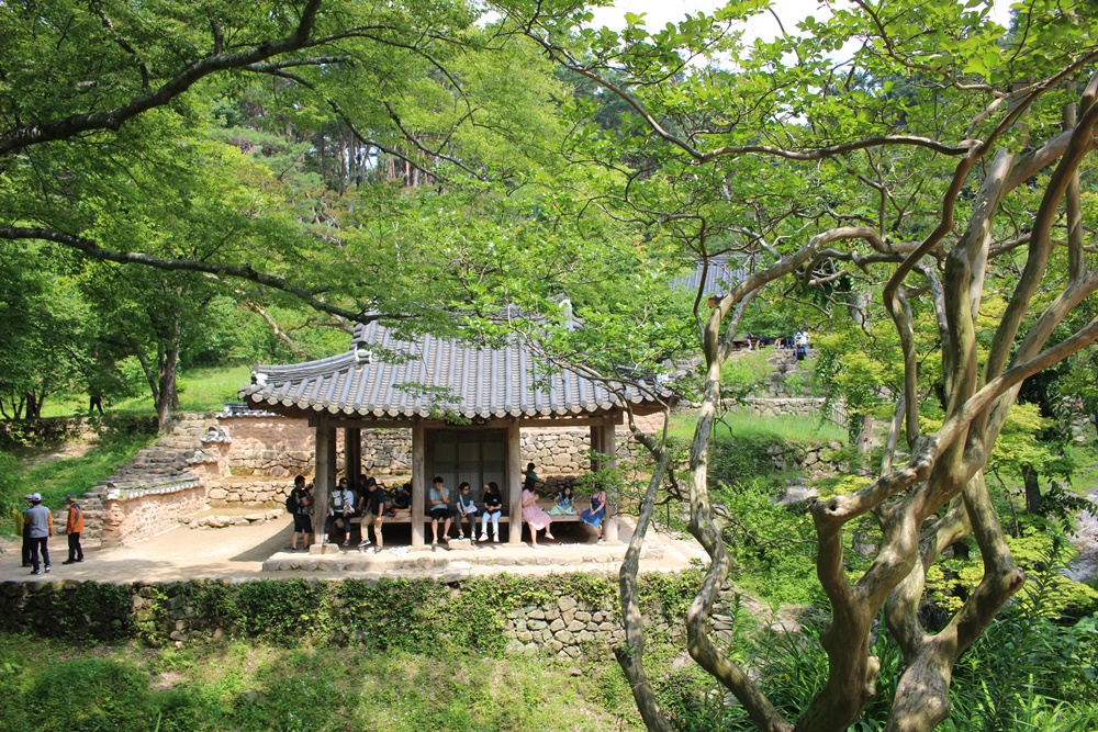 원본이미지(클릭)