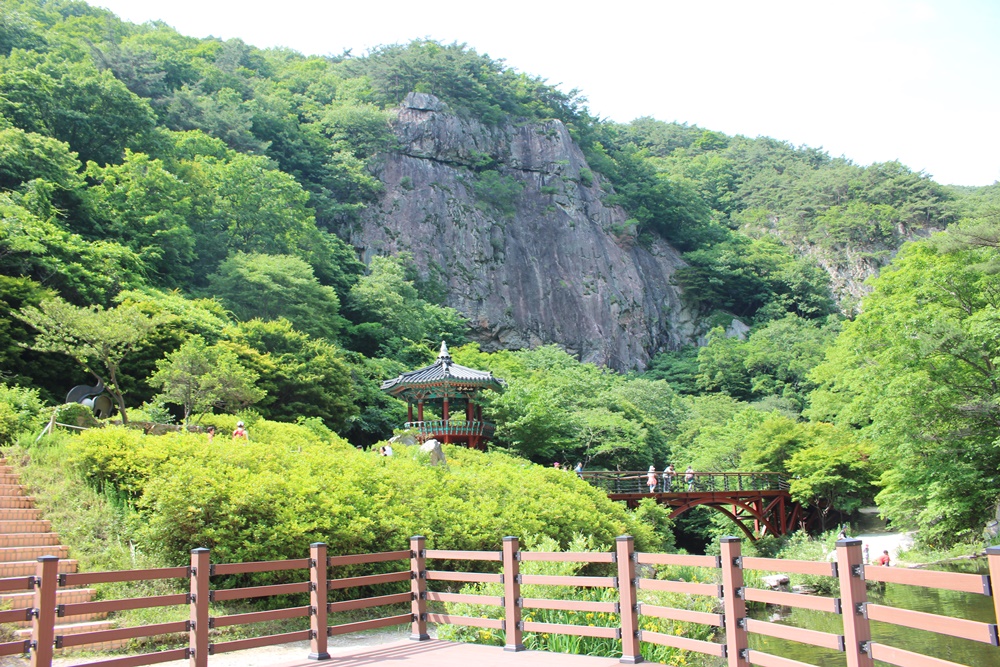 원본이미지(클릭)