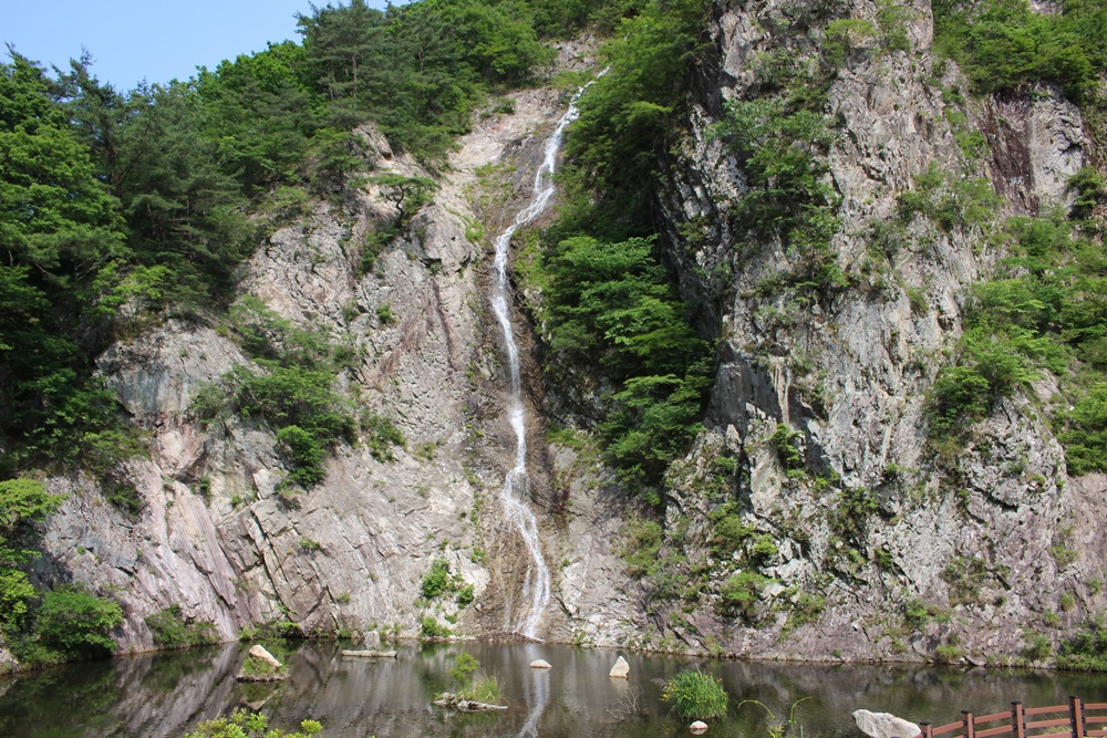 원본이미지(클릭)