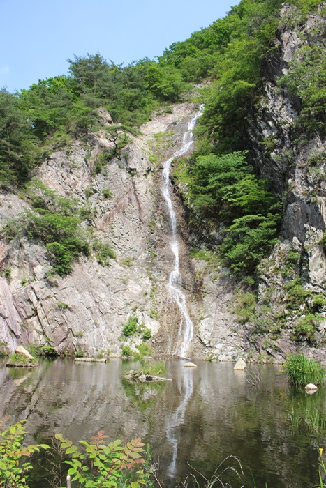 원본이미지(클릭)