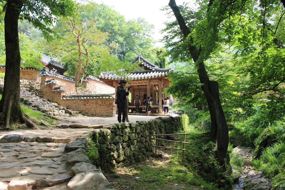 원본이미지(클릭)