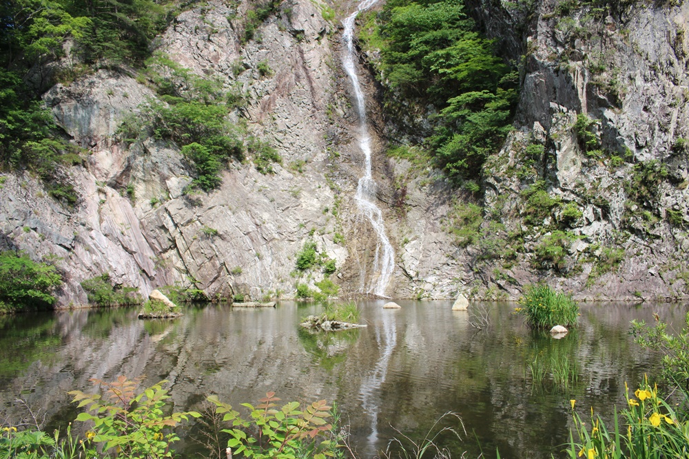 원본이미지(클릭)
