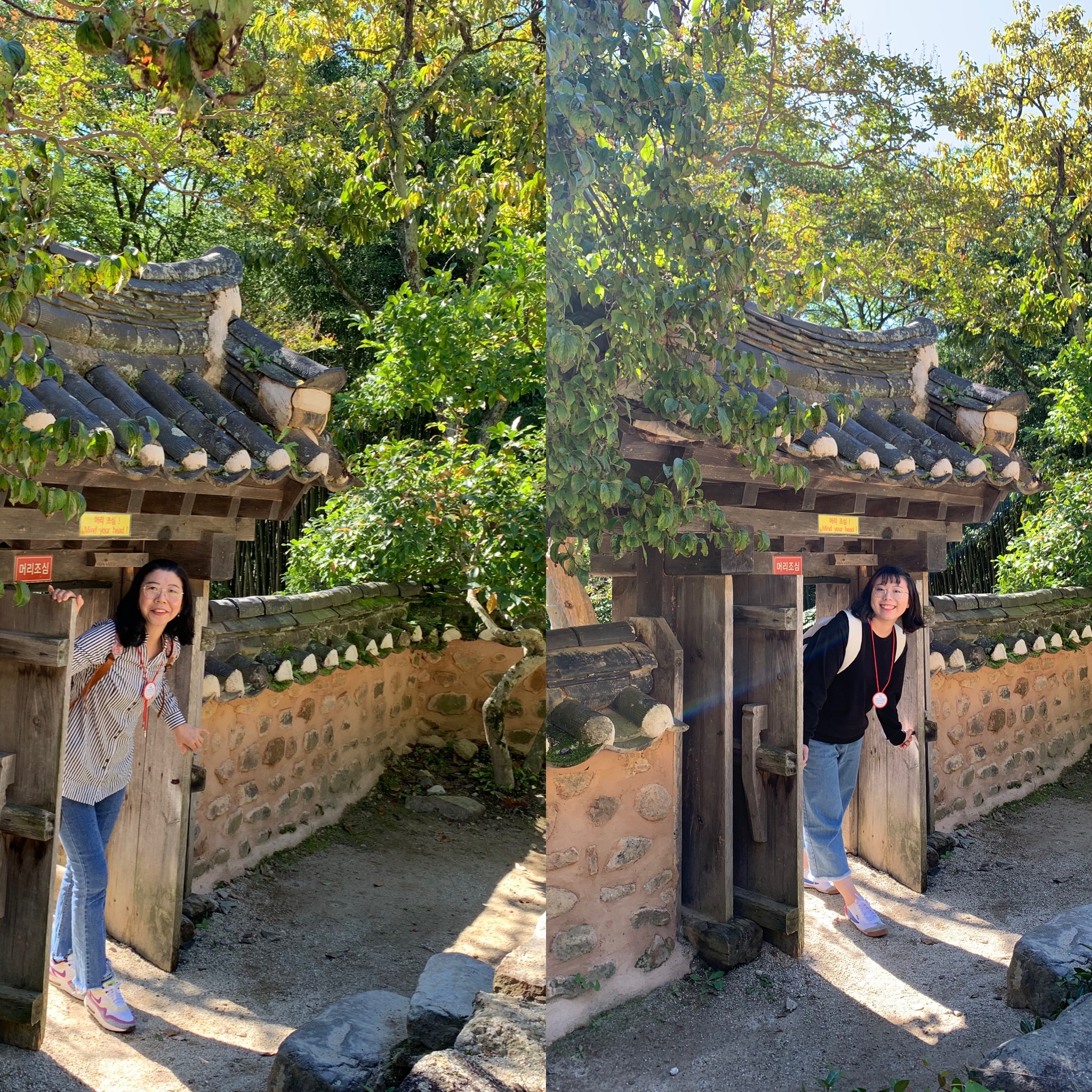 원본이미지(클릭)