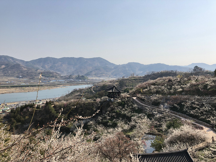 원본이미지(클릭)