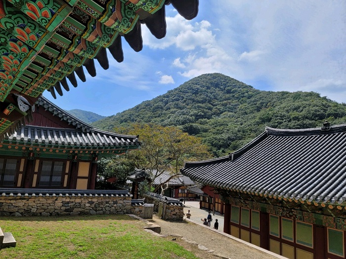 원본이미지(클릭)