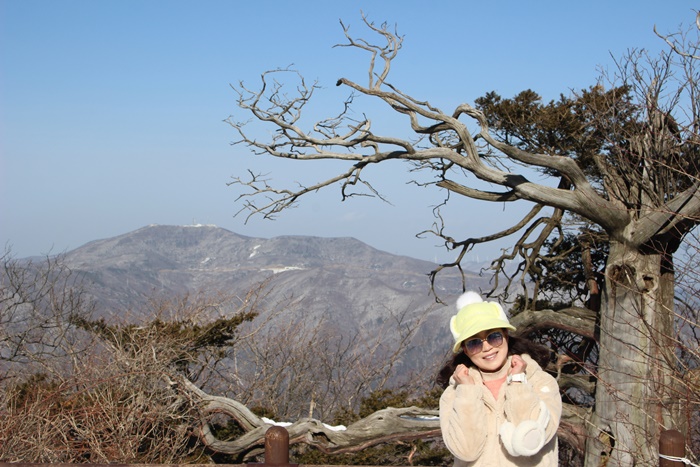 원본이미지(클릭)